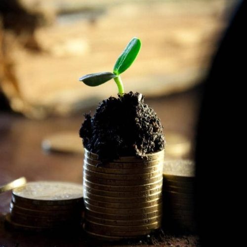 Melhores investimentos em renda fixa