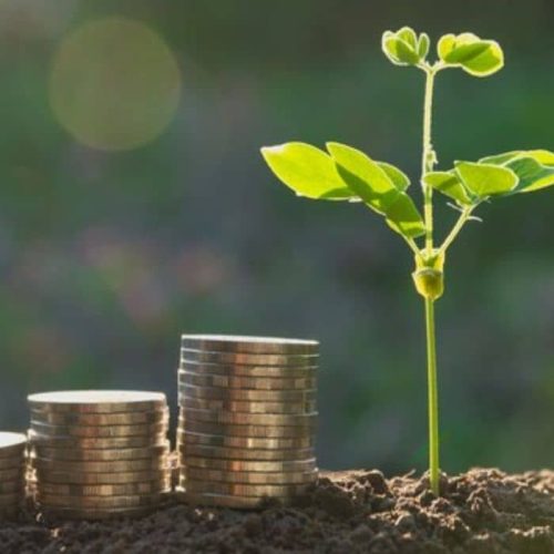 CRA: o que é, como funciona, vantagens, riscos e como investir