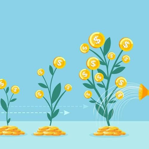 Como montar uma carteira de renda fixa com mil reais?