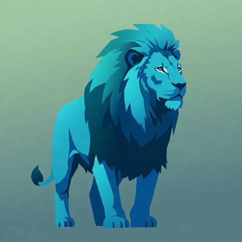 Como declarar opções no Imposto de Renda 2025?