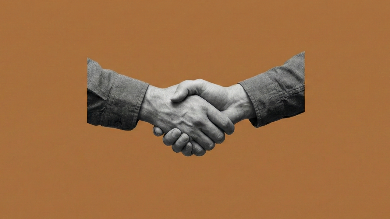 Tag along: o que é, qual a importância e quem tem direito