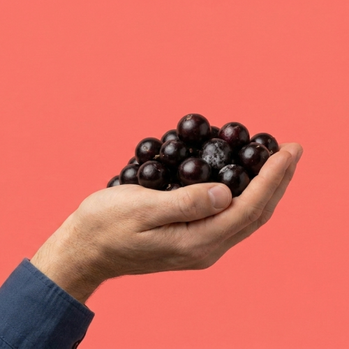 Come-cotas: o que é e como afeta seus investimentos?