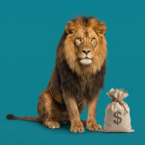 O que fazer com a restituição do IR: investir ou quitar dívidas?